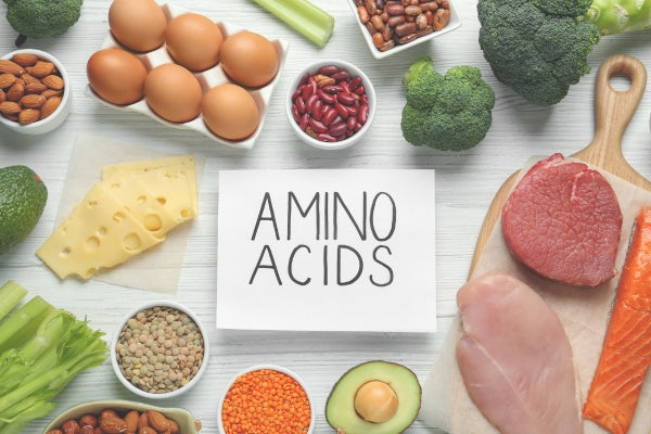 Amino Acids: Everything you need to know