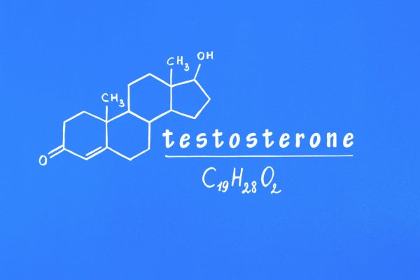 What is testosterone?