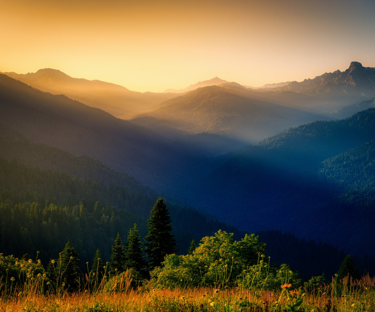 Purest form in nature