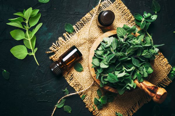 How to Make Oregano Oil: A Complete Guide