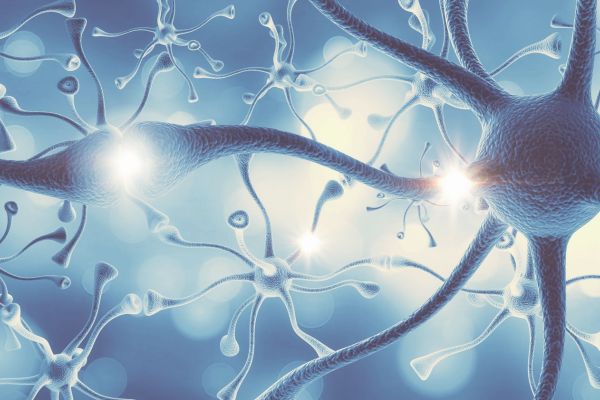 Neurotransmitters: Everything you need to know