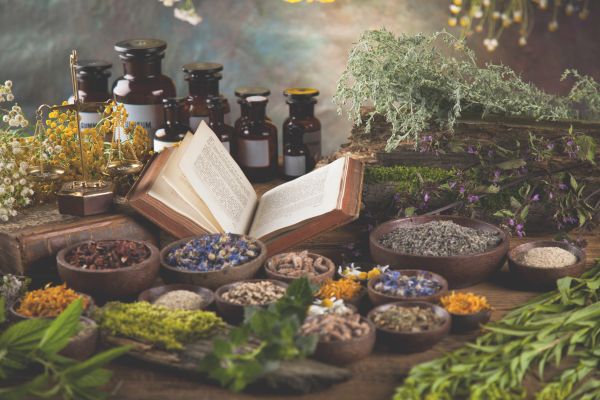 Phytotherapy: Everything you need to know