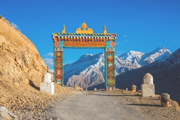 Shilajit reviews & experiences