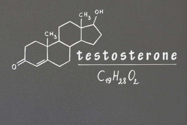 Testosterone level: male & female