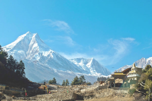 What is Shilajit?
