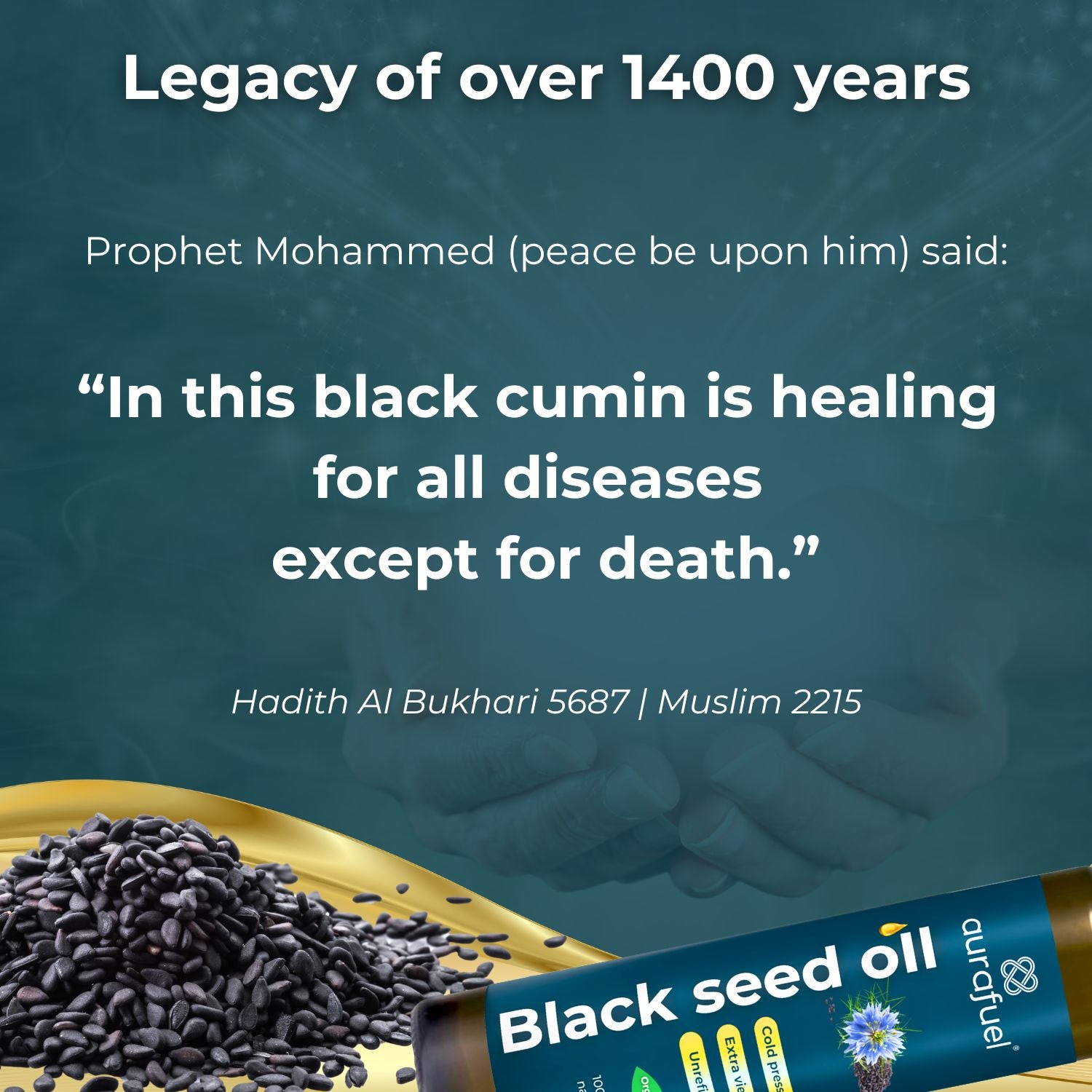 Black seed oil in islam hadith quran