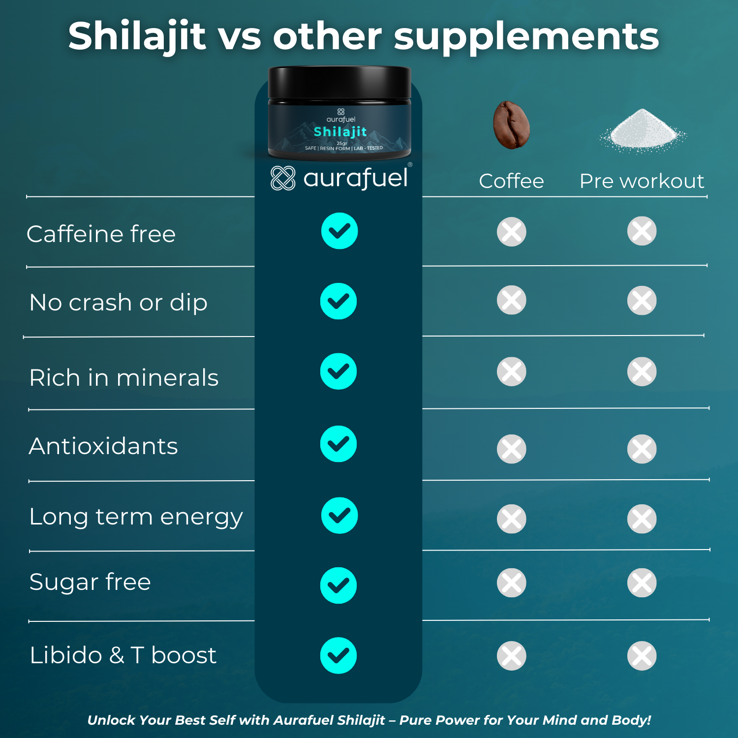 Shilajit Premium - 100% pure & authentic - 25 g