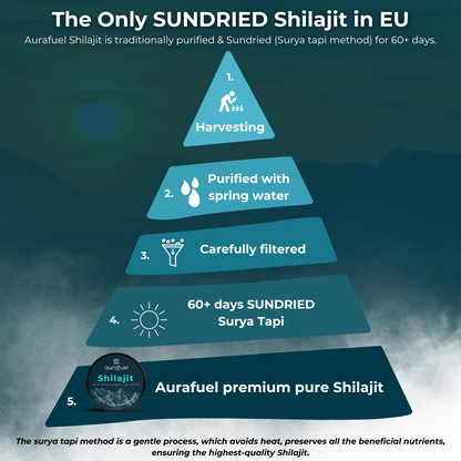 Shilajit Premium - 100% pure & authentic - 25 g